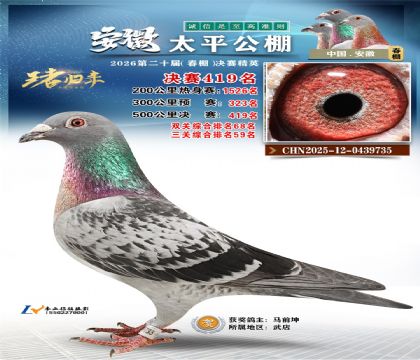 安徽太平决赛419名