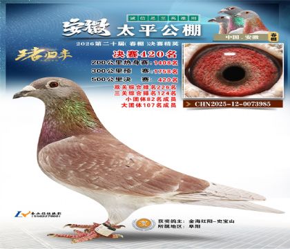 安徽太平决赛420名