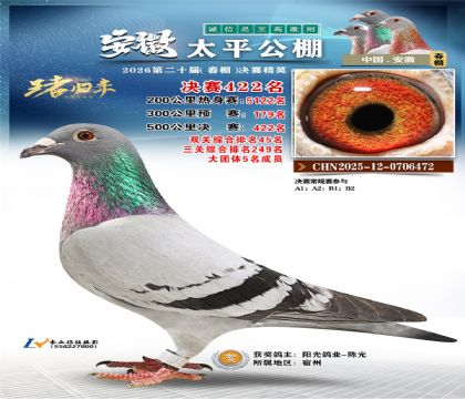 安徽太平决赛422名