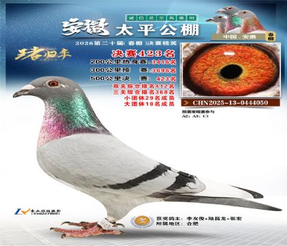 安徽太平决赛423名