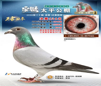 安徽太平决赛424名