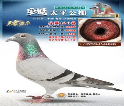 安徽太平决赛426名