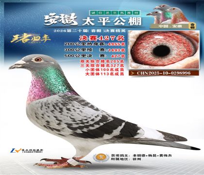 安徽太平决赛427名