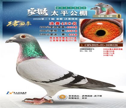 安徽太平决赛428名