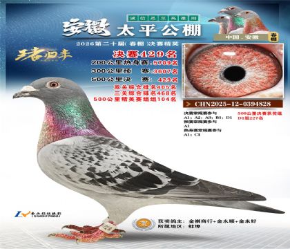 安徽太平决赛429名