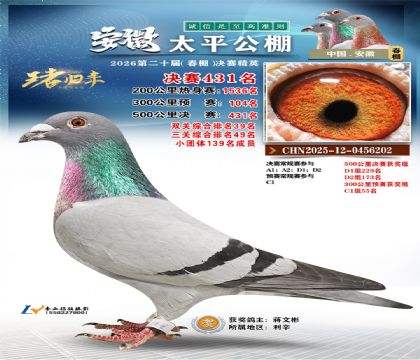 安徽太平决赛431名