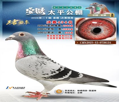 安徽太平决赛434名