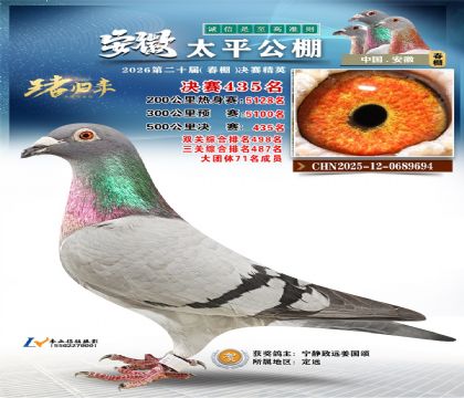 安徽太平决赛435名