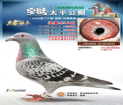 安徽太平决赛436名