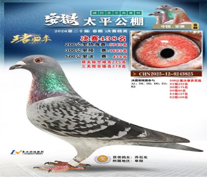 安徽太平决赛438名