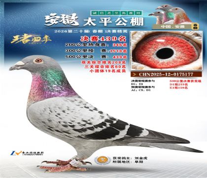 安徽太平决赛439名