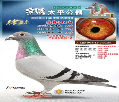 安徽太平决赛441名