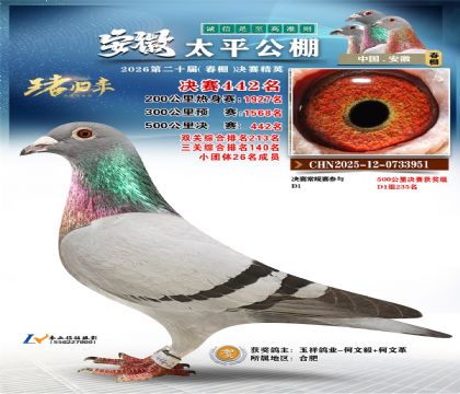 安徽太平决赛442名