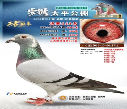 安徽太平决赛443名