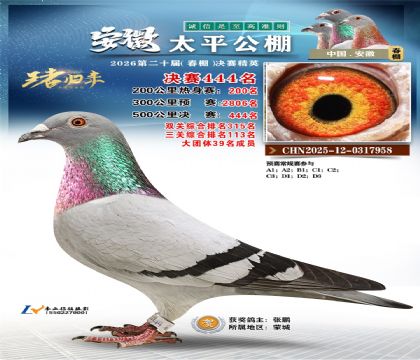 安徽太平决赛444名