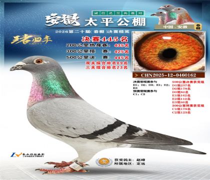 安徽太平决赛445名