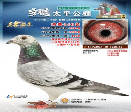 安徽太平决赛446名