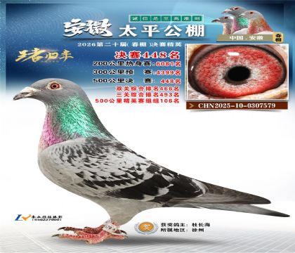 安徽太平决赛448名