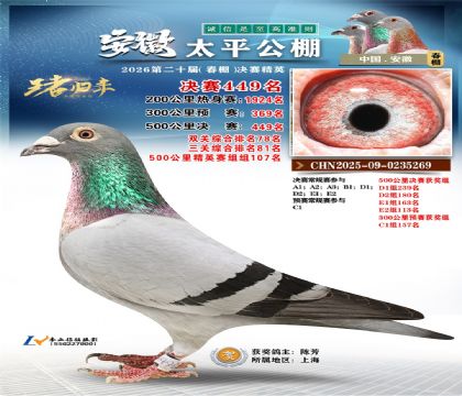 安徽太平决赛449名