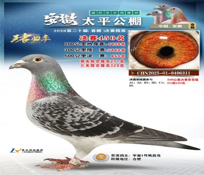 安徽太平决赛450名