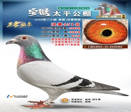 安徽太平决赛451名