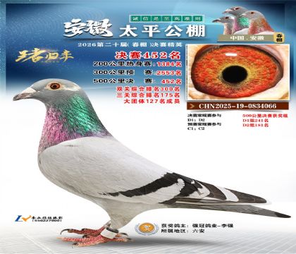 安徽太平决赛452名