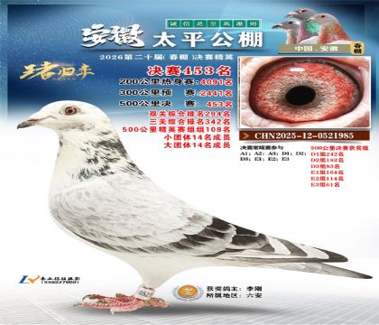 安徽太平决赛453名