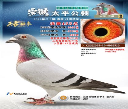 安徽太平决赛455名