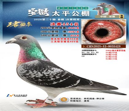 安徽太平决赛454名