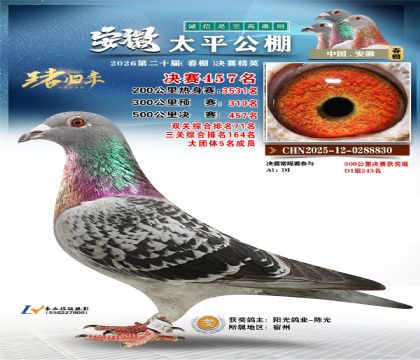 安徽太平决赛457名