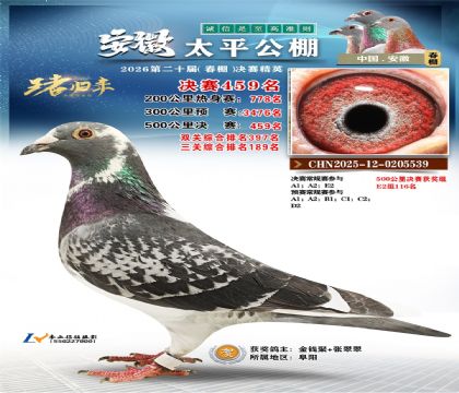 安徽太平决赛459名