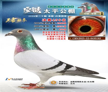 安徽太平决赛458名