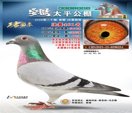 安徽太平决赛461名