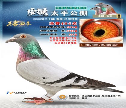 安徽太平决赛464名