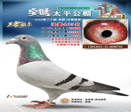 安徽太平决赛465名