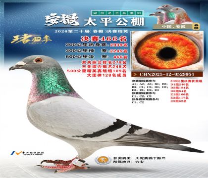 安徽太平决赛466名