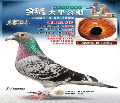 安徽太平决赛468名