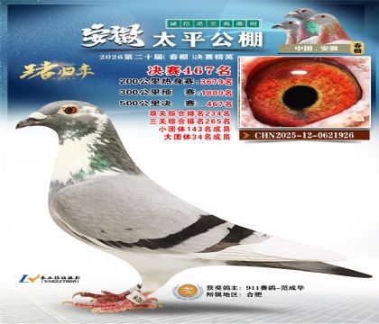 安徽太平决赛467名