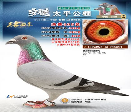 安徽太平决赛469名