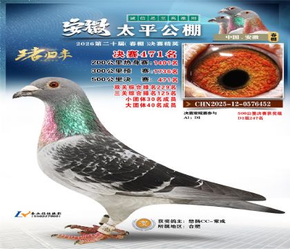 安徽太平决赛471名