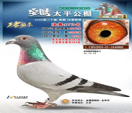 安徽太平决赛472名