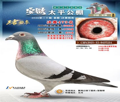 安徽太平决赛473名