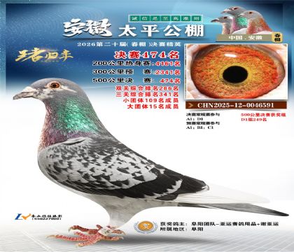 安徽太平决赛474名