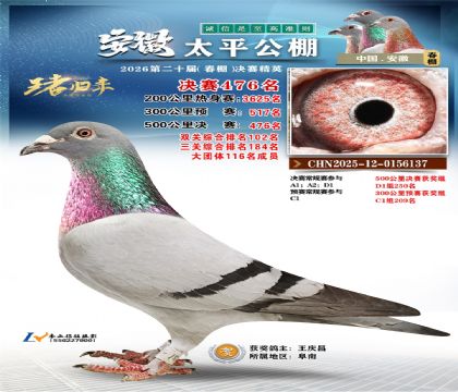 安徽太平决赛476名