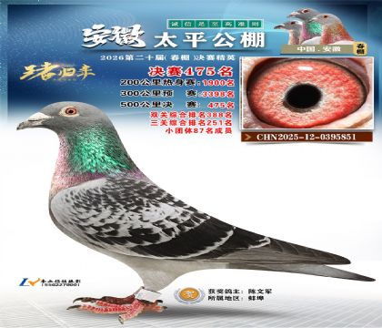 安徽太平决赛475名