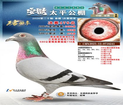 安徽太平决赛478名