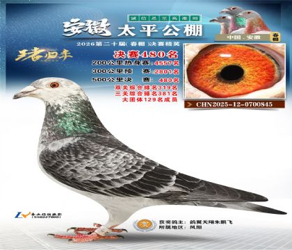 安徽太平决赛480名