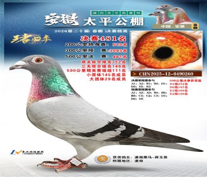 安徽太平决赛481名