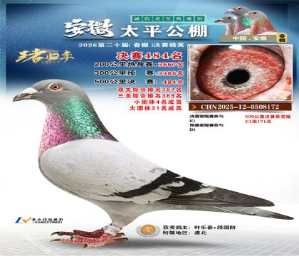 安徽太平决赛484名