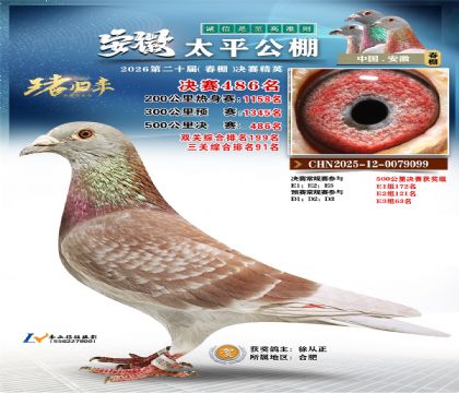 安徽太平决赛486名